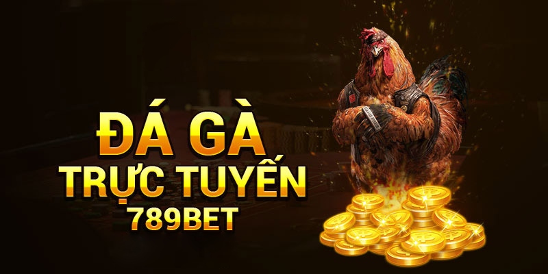 Giới thiệu chung về hệ thống cược Đá Gà Casino 789bet